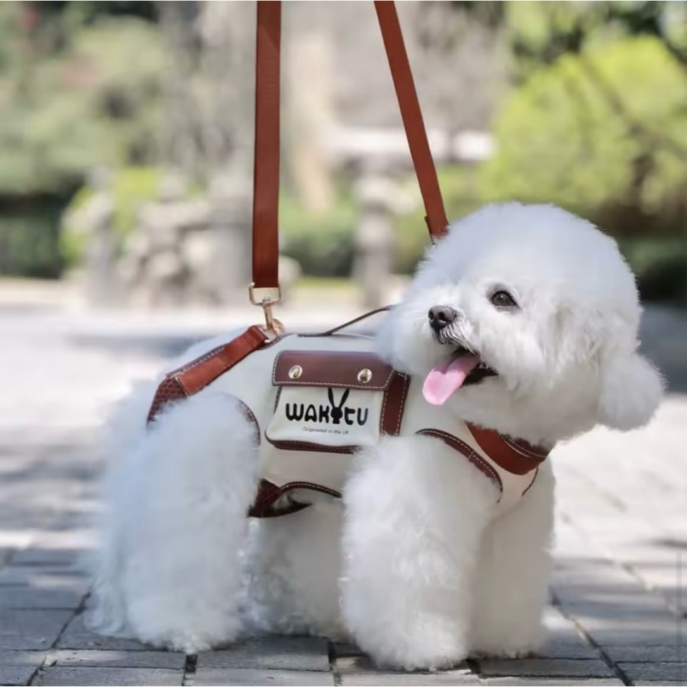 Small Dog or Cat Harness Carrier Lift Sling with Handle by Wakytu